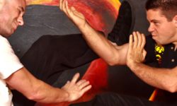 wing chun structure lakeland florida wing chun kung fu florida structure rooting foundation