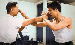 Wing Chun Bui Jee Thrusting Fingers