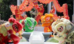 FLORIDA CHINESE LION DANCE sifu-och-wing-chun-chinese-new-year-lion-dance