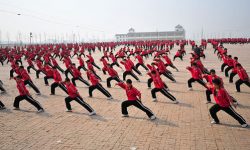 Shaolin Kung Fu, Training, Forms, Martial Art Forms