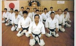 Eastern Martial arts, Karate, Chinese Vs Japanese