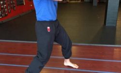 Wing Chun Stance, Kung Fu Structure, Footwork, Wing Chun Stance, Wing Chun Kung Fu