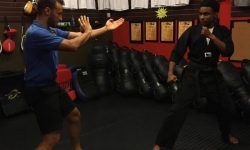 Wing Chun Vs Tae Kwon Do, Wing Chun, Tae Kwon Do, Wing Chun Fight, Fighting with Wing Chun, Wing Chun Beats Tae Kwon Do, Wing Chun against Tae Kwon Do