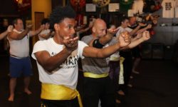 Private Lessons, Wing Chun classes, lakeland, florida
