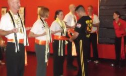 Seeing Wing Chun Progress during training